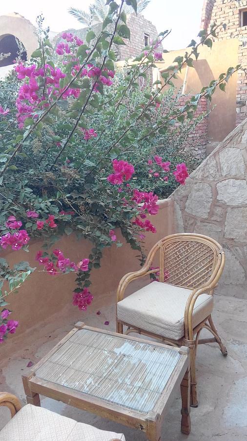 Eskaleh Eco-Lodge Abu Simbel Eksteriør billede