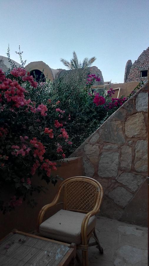 Eskaleh Eco-Lodge Abu Simbel Eksteriør billede