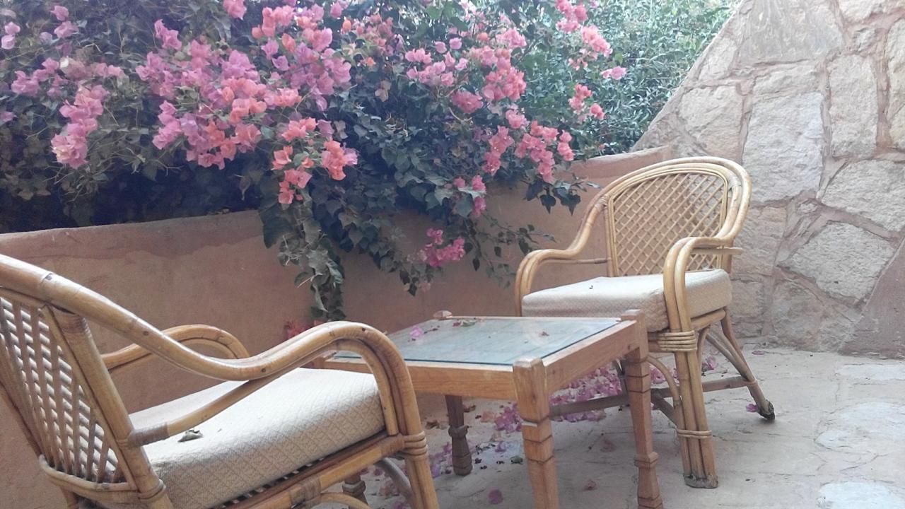 Eskaleh Eco-Lodge Abu Simbel Eksteriør billede